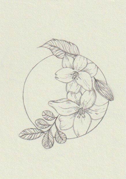 drawing of circle with flowers inside