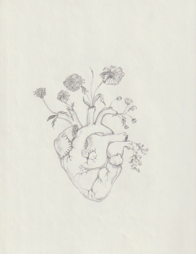 drawing of anatomical heart with flowers