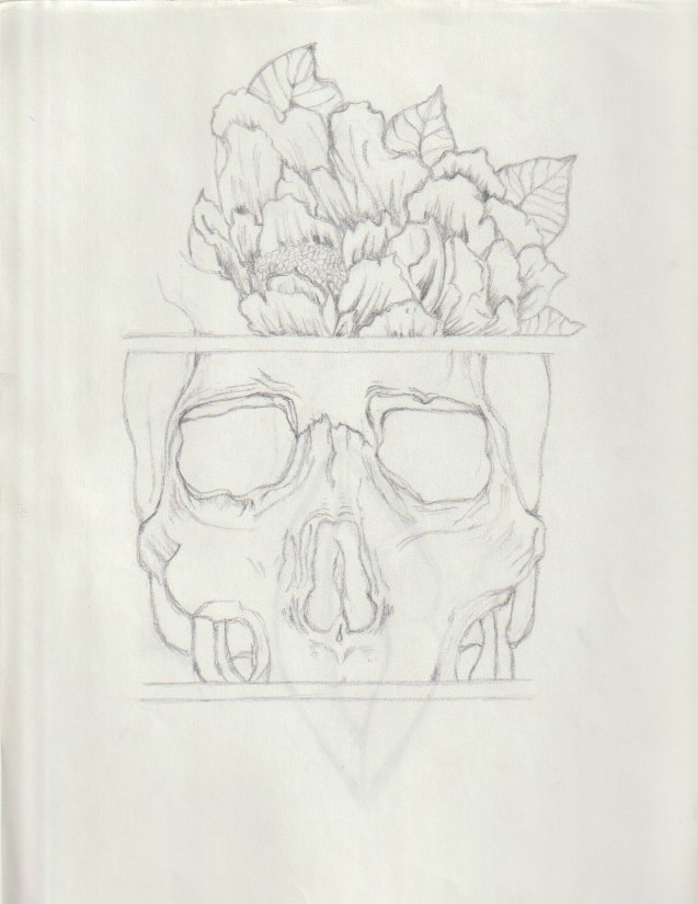 drawing of skull